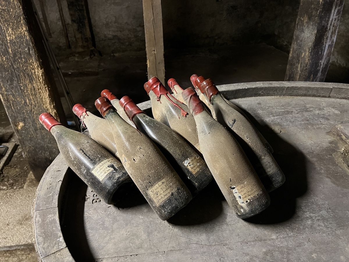 Vins: Don Ramón – D'occasion à Basel par Mirkymirc 1