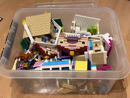 LEGO Friends Sammlung mit 17 verschiedenen Sets