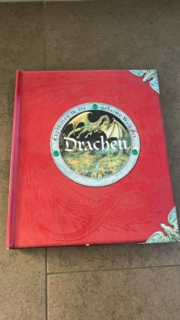 Libri: Cooles Drachen-Buch – Usato da Altstätten SG venduto da gina6378