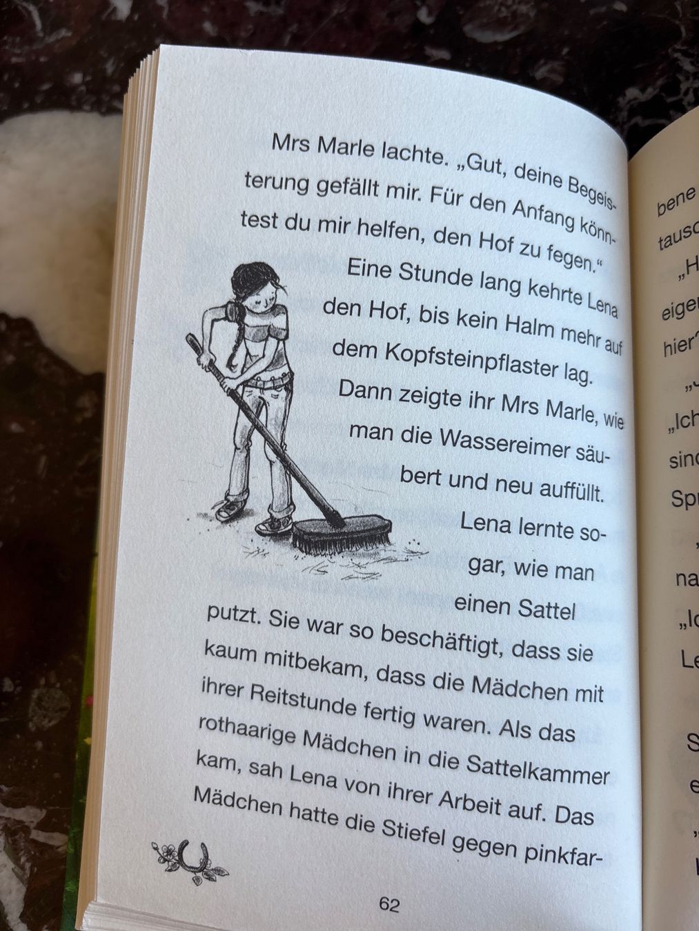 Livres: Ponyhof Apfelblüte Lena und Samson – D'occasion à Genève par Livsonman 5