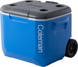 Coleman Kühlschränke & Kühlen: Kühlbox Coleman 56 Liter – Gebraucht aus Schaffhausen von Zwergelster