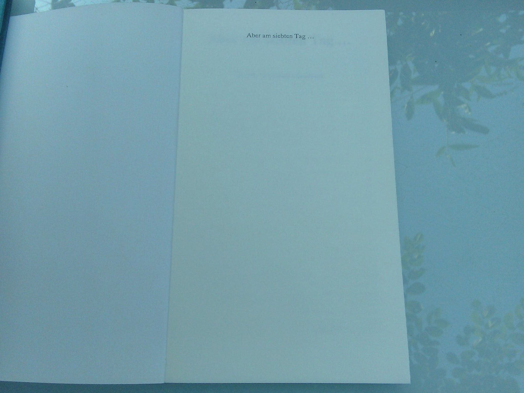 Libri: Aber am siebten Tag.... - Ein fast vergessenes Geschenk – Nuovo (secondo la descrizione) da St. Gallen venduto da elk2020 1
