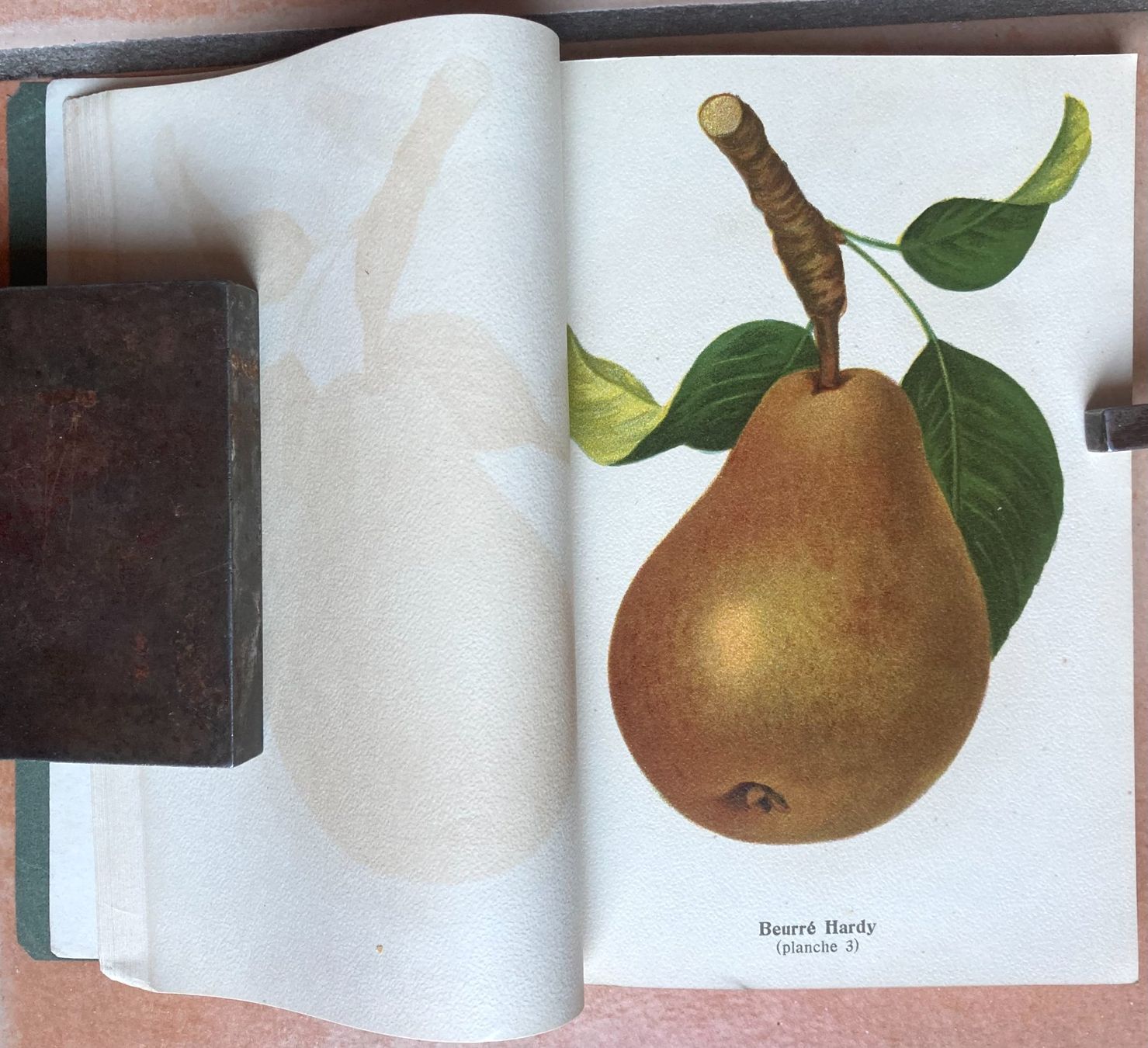 Bücher: Pomologie Romande Illustrée - 1916 – Gebraucht aus Versoix von HELVETICA_1 7