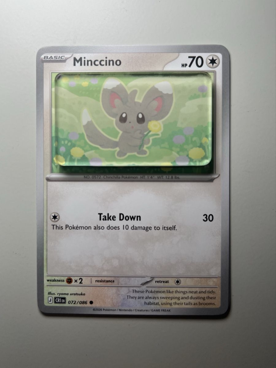 Pokémon Carte collezionabili: Pokemon Minccino Magnet – Nuovo (secondo la descrizione) da Langenthal venduto da EceSuzu 1