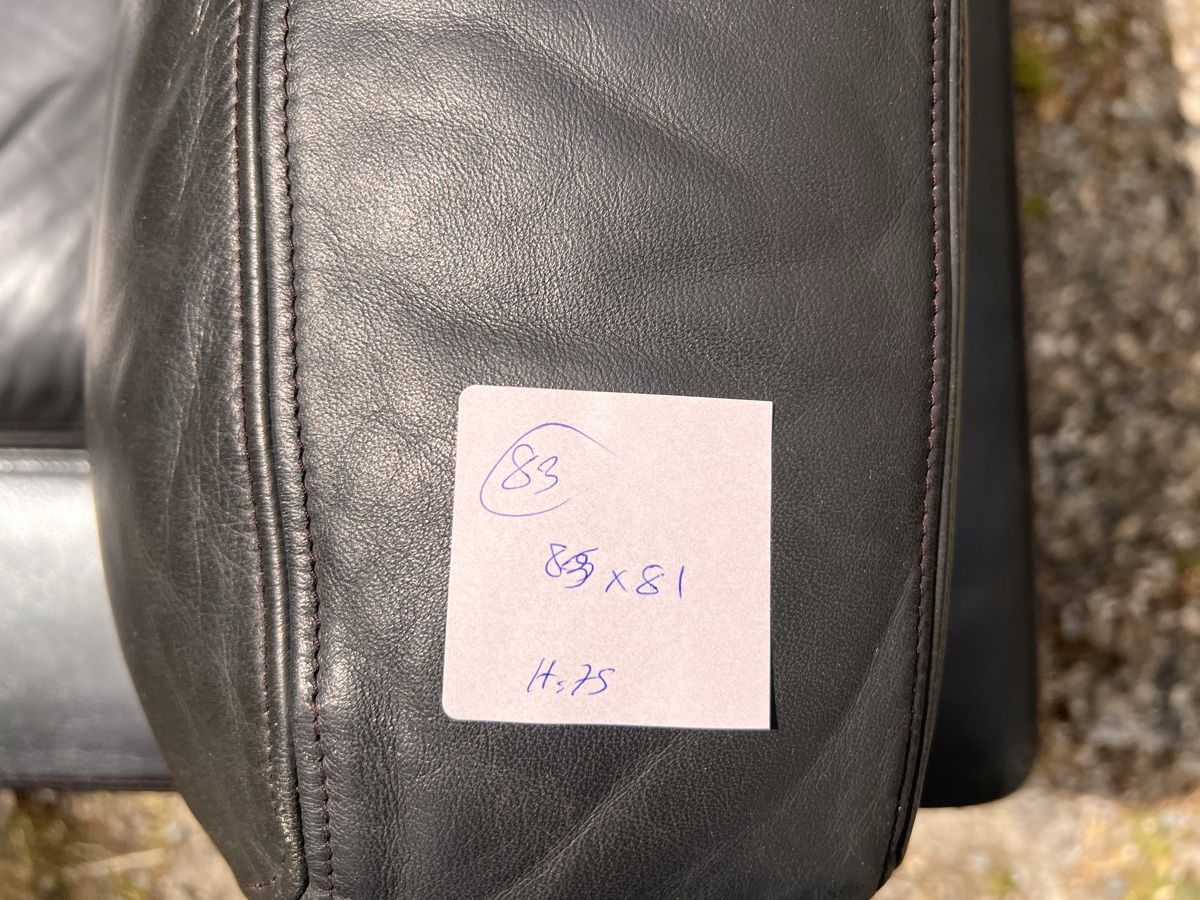 De Sede Poltrone: de Sede DS 17 Leder (83) – Usato da Glattfelden venduto da maa_qcj8 9