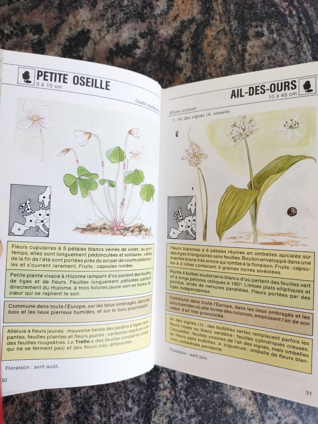 Bücher: Fleurs sauvages Gründ Nature - Poche – Gebraucht aus Cortaillod von rozinna 7