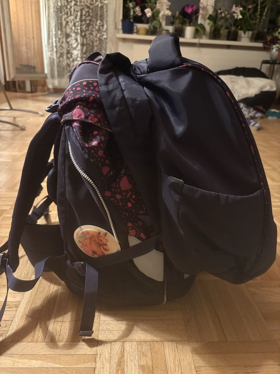 Ergobag Borse & Zaini: Ergobad Schulthek violett  – Usato da Adliswil venduto da JaHaZu 4
