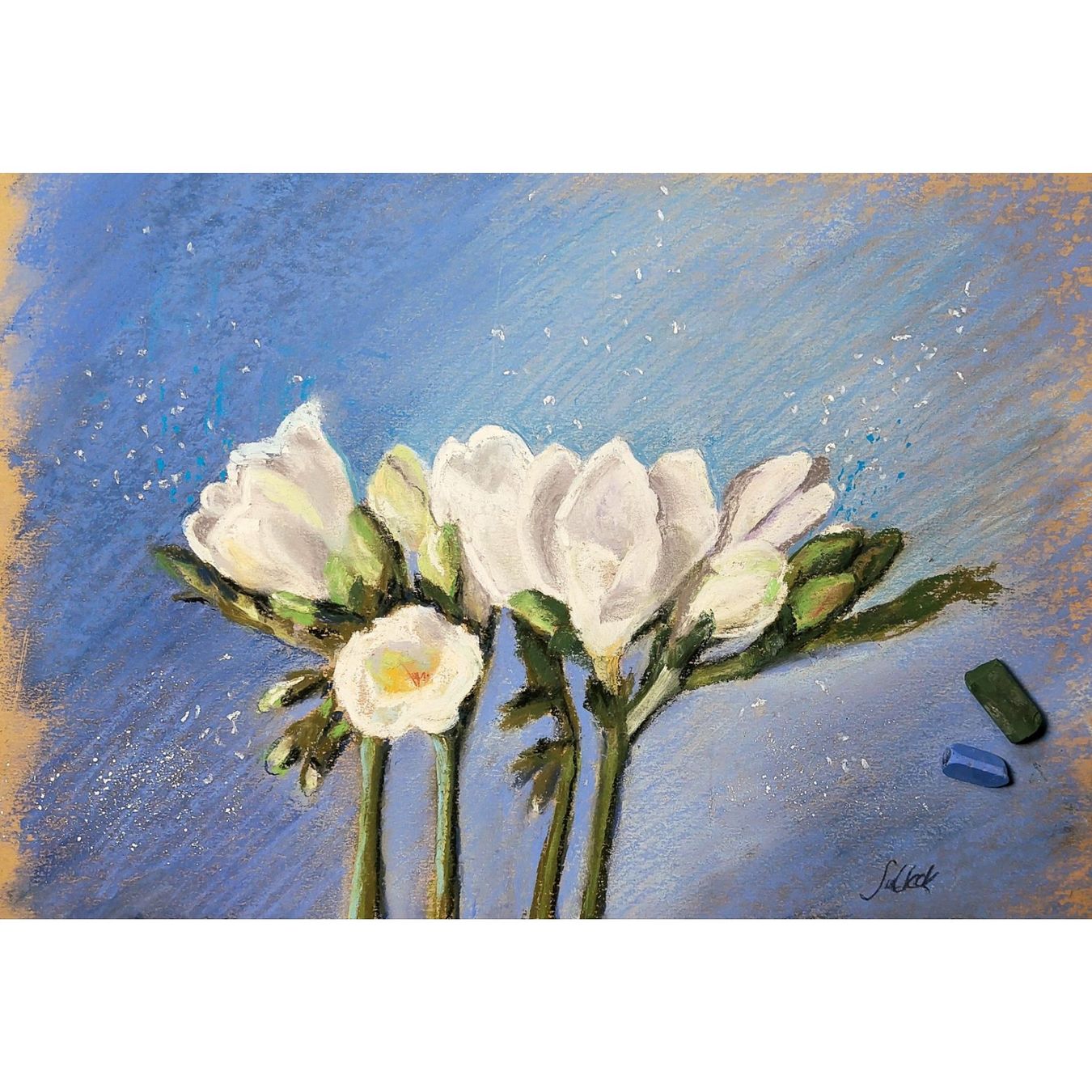 Foto & Immagini: Neu! Original Soft-Pastellbild, signiert "Freesia" Bern – Nuovo e nell'imballaggio originale da Ostermundigen venduto da LorisHome 1