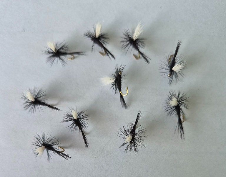 Esche: 10 Stück Trockene Fliege – Nuovo e nell'imballaggio originale da Kehrsatz venduto da ba-ch