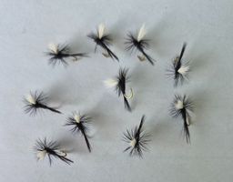 10 Stück Trockene Fliege