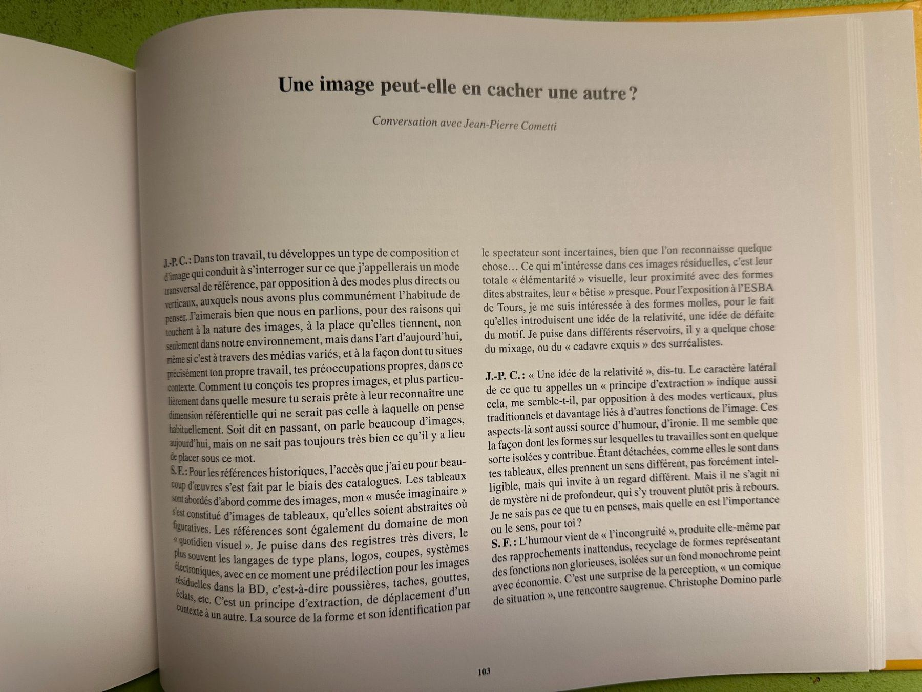 Libri: Sylvie Fanchon. Texte: Vincent Pécoil. – Usato da Zürich venduto da allp 8