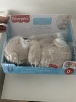 Fisher-Price Schlummer-Otter  neu originalverpackt