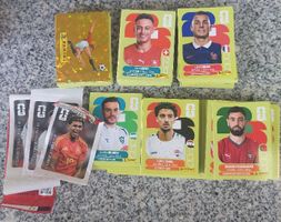 FIFA WORLD CUP 2026 Panini über 250 Stk
