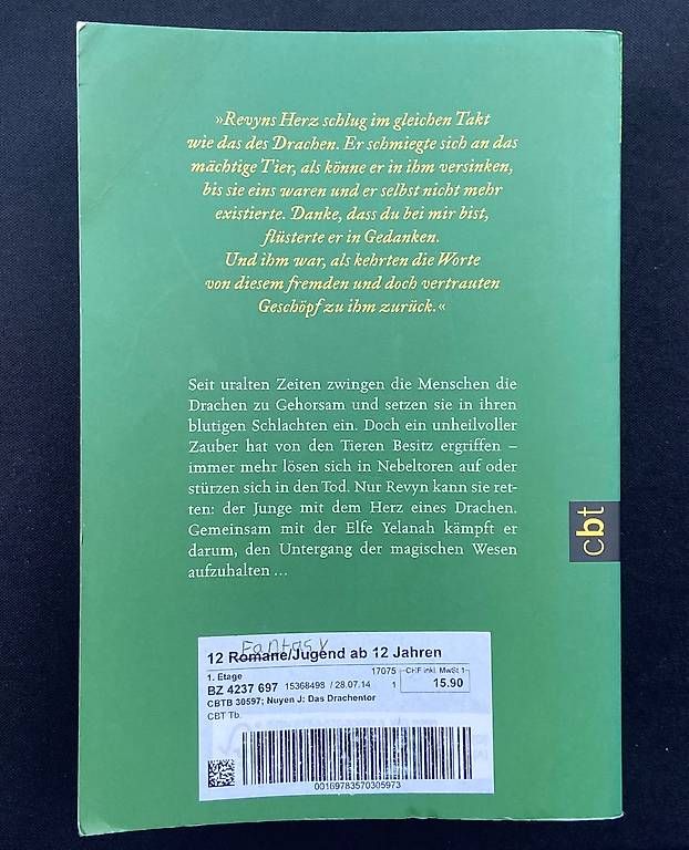 Libri: Das Drachentor - Jenny Mai Nuyen – Usato da Adliswil venduto da 8lizzy8 2