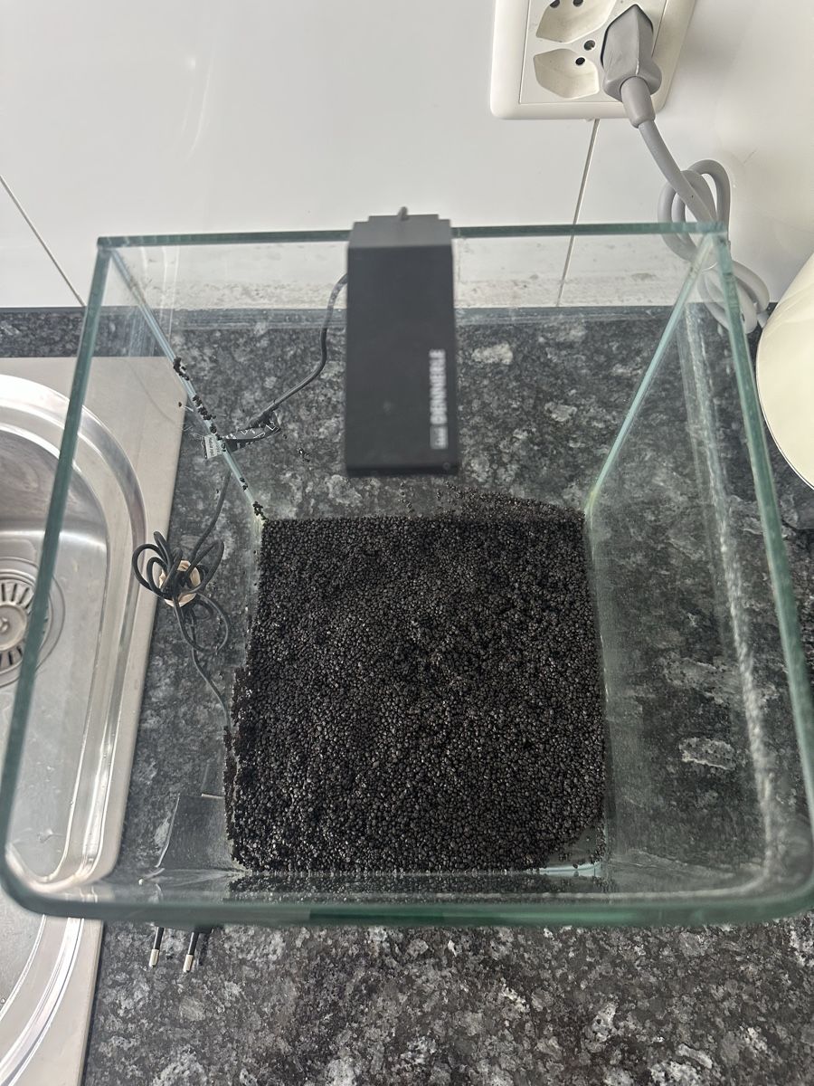 Aquarium: Dennerle nano cube 10l Aquarium mit LED Lampe – D'occasion à Luzern par ariazalea 1