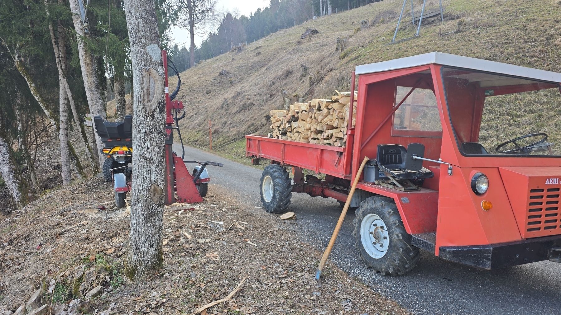 Aebi Traktoren: Aebi TP50 – Gebraucht aus Troistorrents von flo_ydc7 4