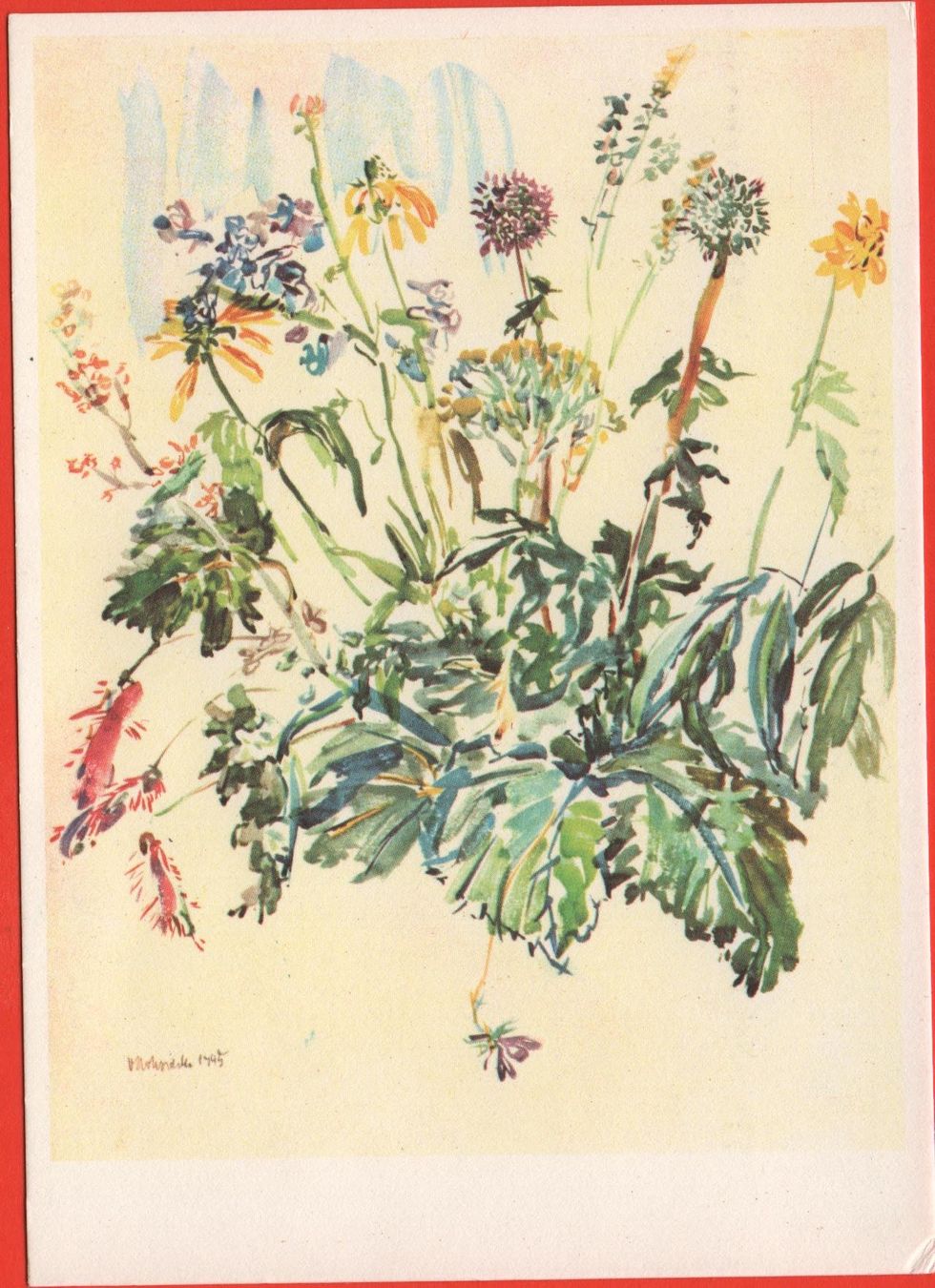 Cartoline postali: BLUMEN Sommerblumen 1945 – Nuovo (secondo la descrizione) da Jona venduto da philajona