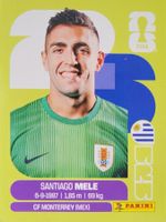 Panini FIFA World Cup URU 3