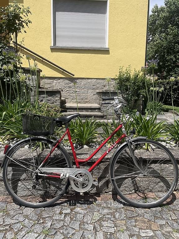 Velos: Vendo bici Cilo  – Gebraucht aus Zürich von cam_5br9