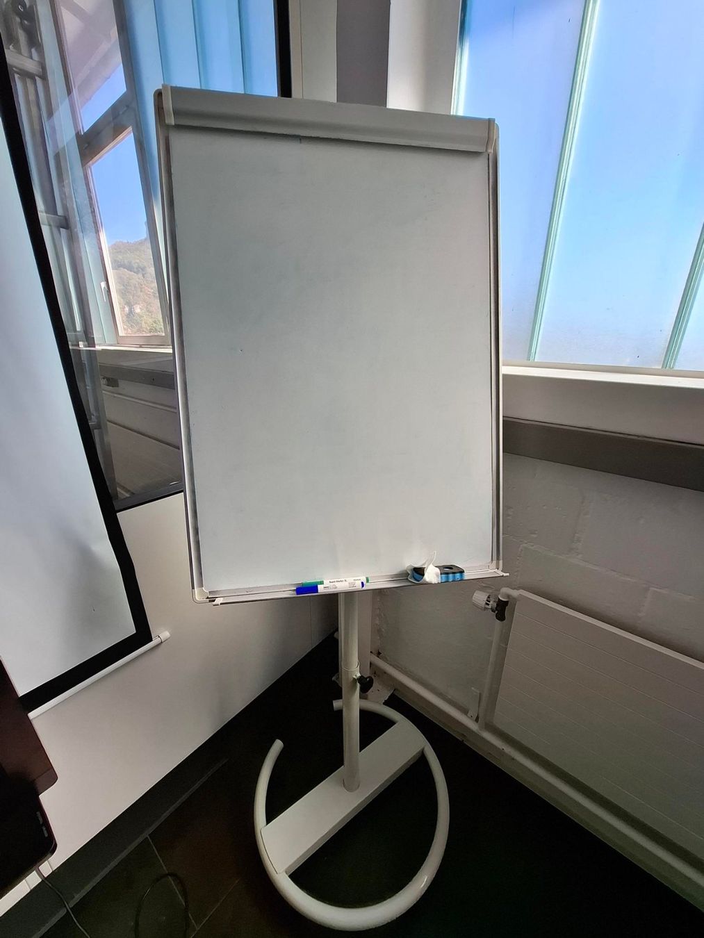 Lavagne: Whiteboard / Flipchart mit Ständer & Rollen – Usato da Oensingen venduto da ric_sc5z
