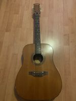 Gitarre 12 Saiten