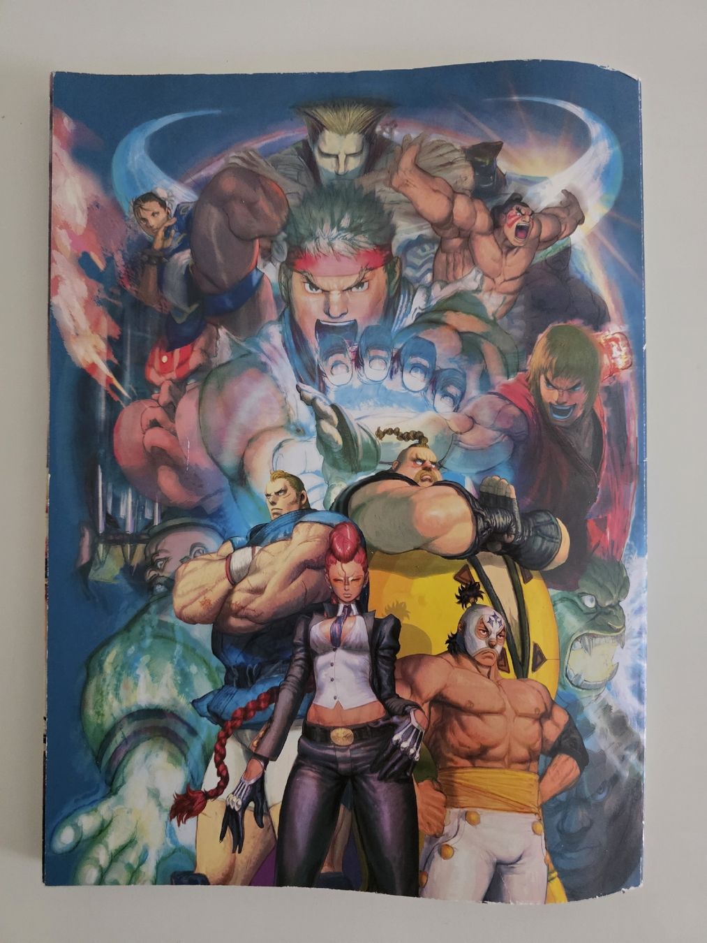 Libri: Guide officiel Street Fighter 4 – Usato da Bonstetten venduto da oli_6dkl 1