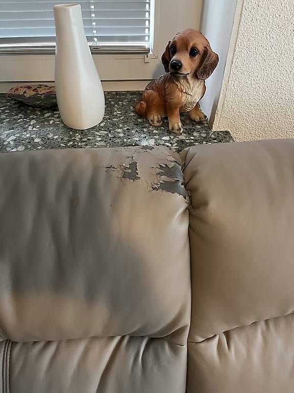 Sofas: Sofa Ecksofa *GRATIS* – D'occasion à Wattwil par Gpunto 2