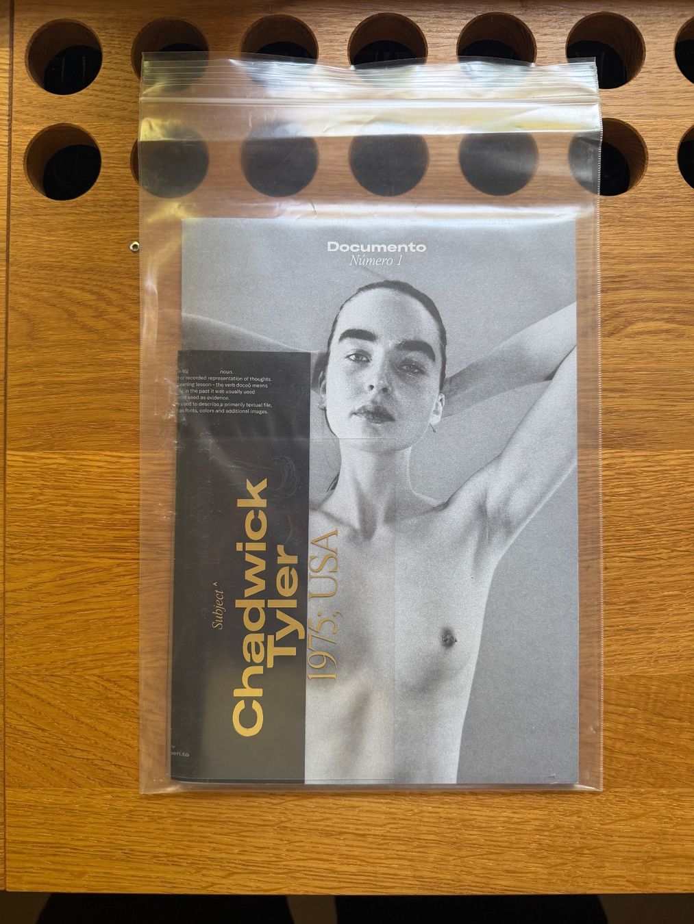Riviste & Magazine: Documento - Numero 1 (2020), Chadwick Tyler / Ali Michael – Usato da Bern venduto da ElevenFive