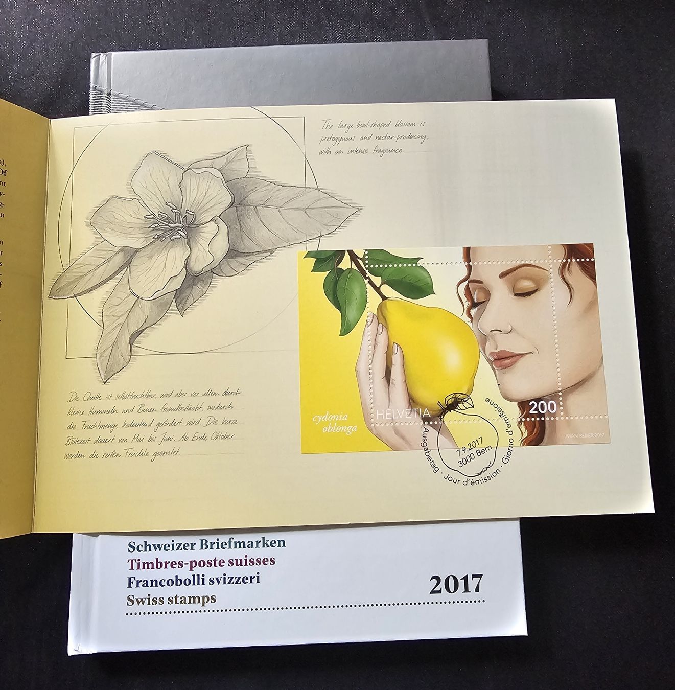 Tutti i francobolli: Schweizer Briefmarken Jahrbuch 2017, inkl. Folder Sonderbloc – Nuovo (secondo la descrizione) da Wangen b. Olten venduto da ErikaK06 6