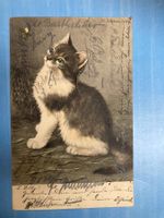 antike Postkarte - 1904 - Katze