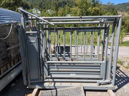 Behandlungsstand für Kühe
