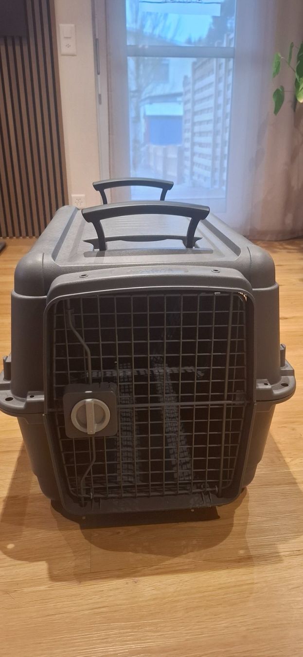Gabbie, trasporto & Sicurezza: Transportbox anione M für Hunde oder Katzen – Usato da Menznau venduto da Conny12