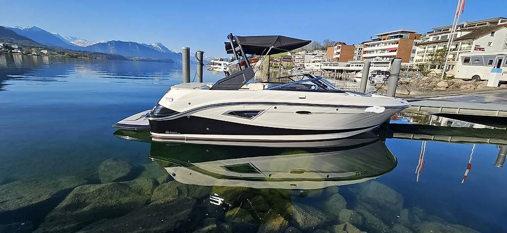 Sea Ray Barche: Sea Ray – Usato da Küssnacht am Rigi venduto da tomi145