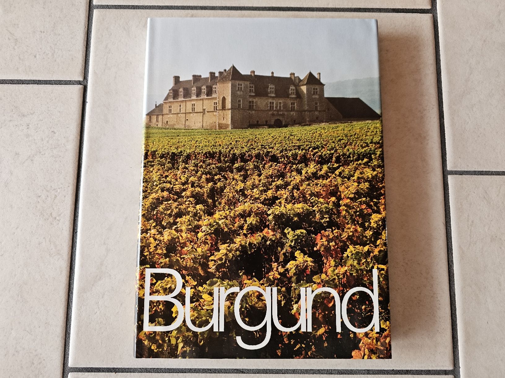 Libri: Burgund  /  146 Seiten – Usato da Schneisingen venduto da backstore24