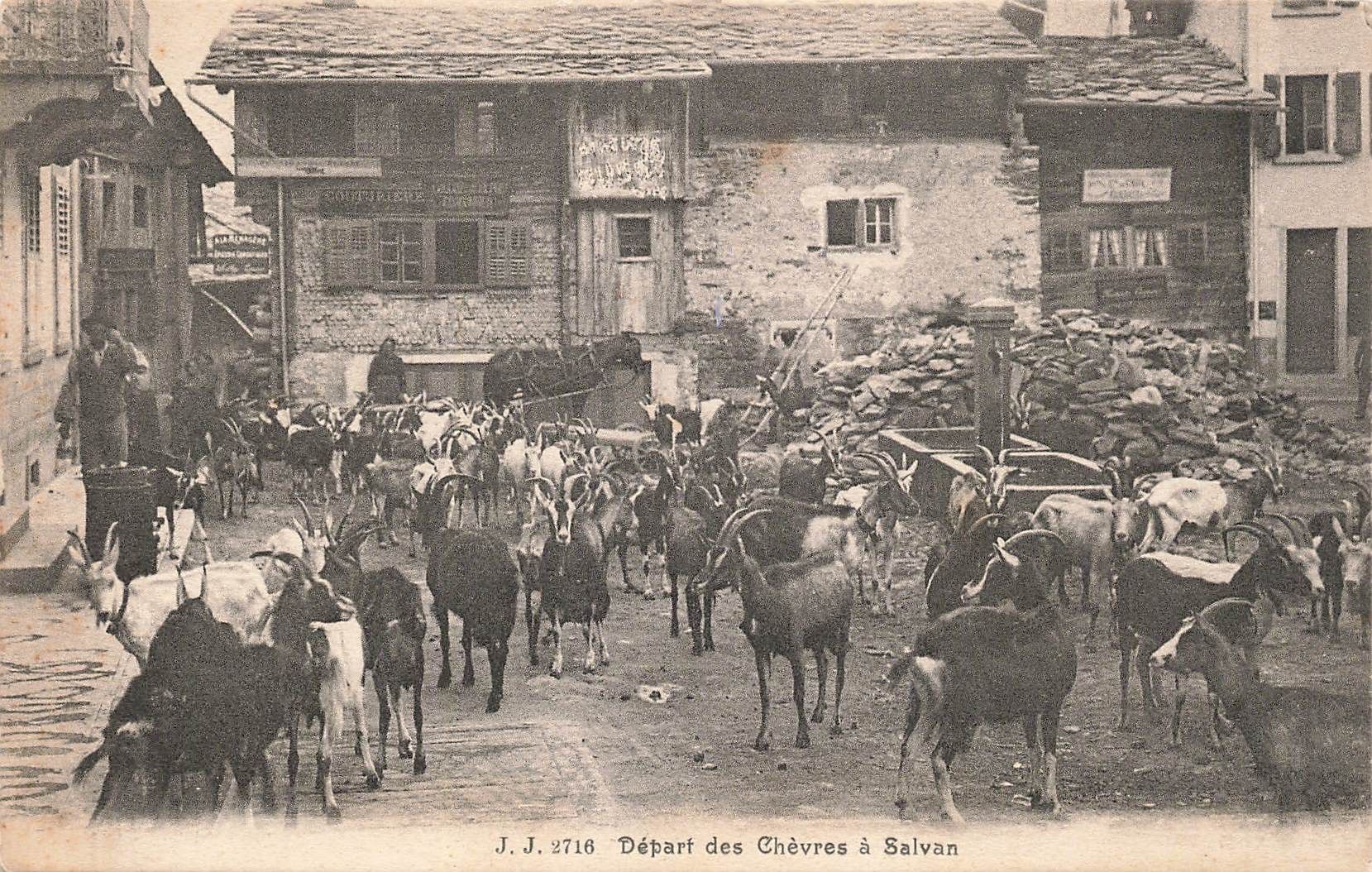 Cartoline postali: Depart des chèvres salvan anime – Usato da Biasca venduto da Blenio71