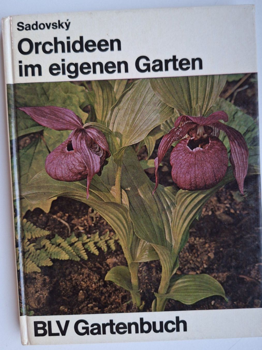 Libri: Orchideen im eigenen Garten - BLV Gartenbuch Top – Usato da Zürich venduto da t24_de