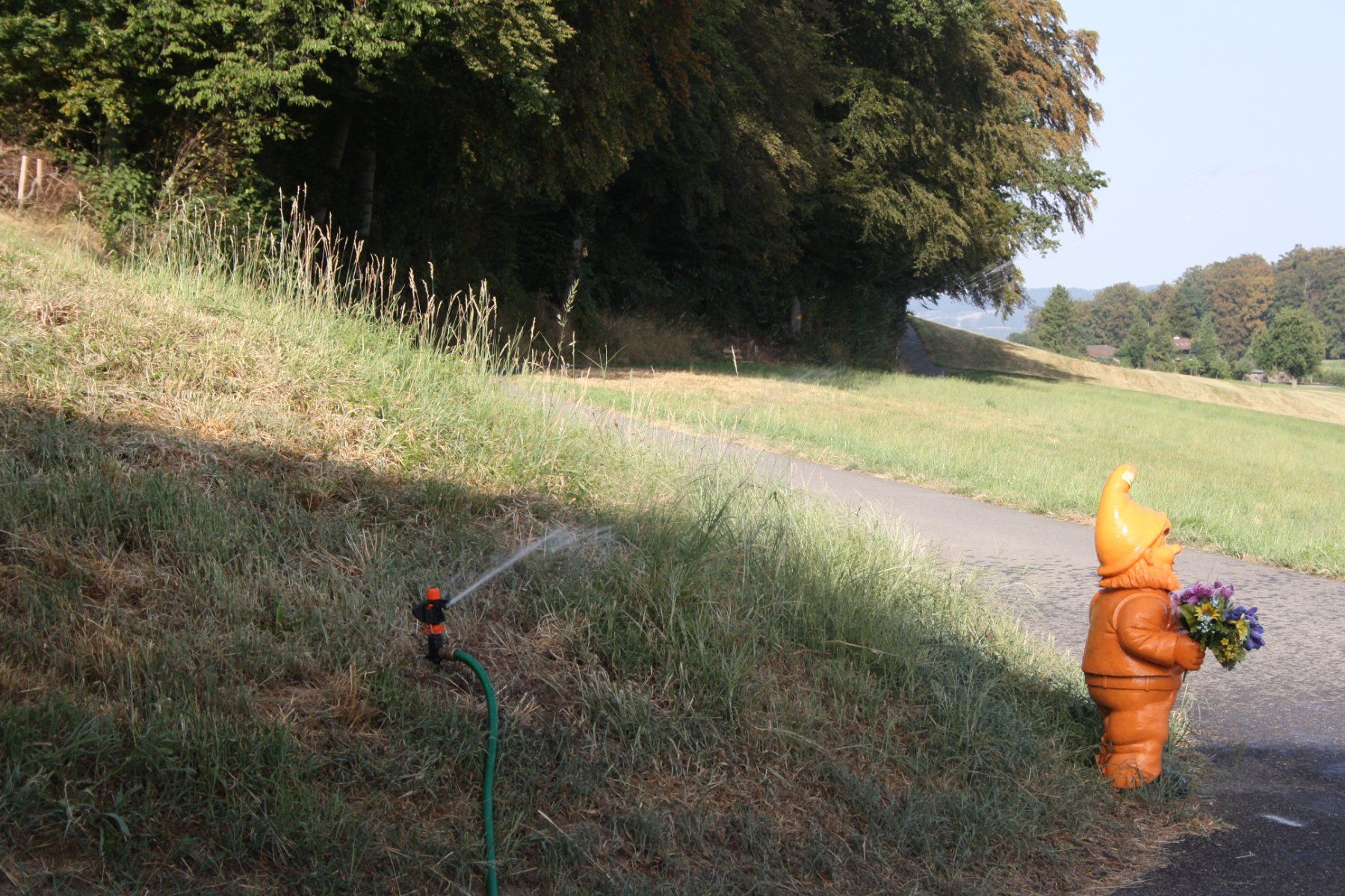 Tecnologia medica: RASENSPRENEGER GARTENSPRENEGER – Usato da Wauwil venduto da Pneuedy 6