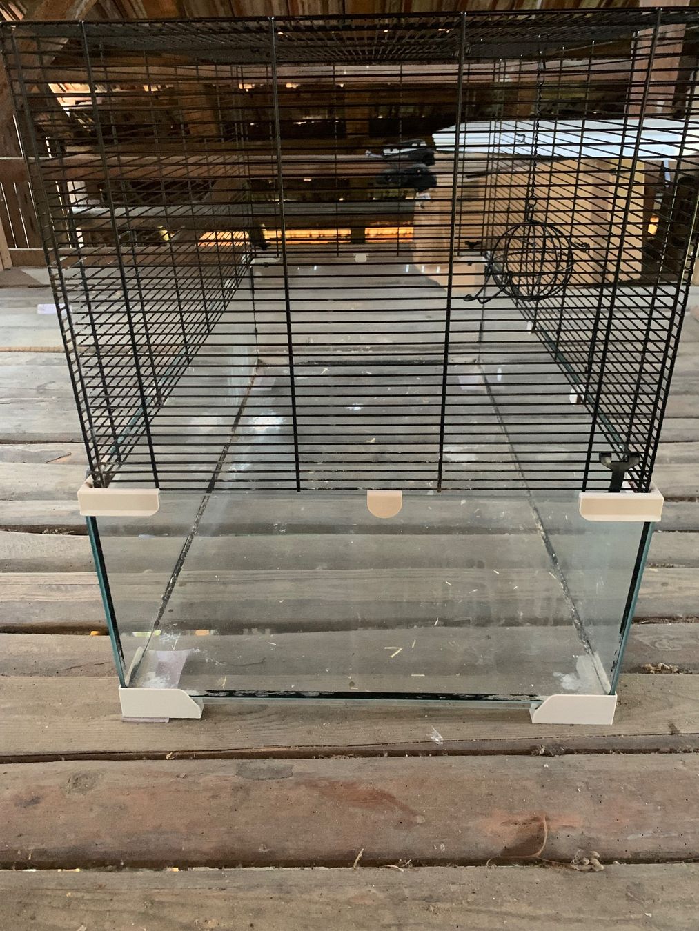Gabbie, trasporto & Sicurezza: Glas Hamsterkäfig/Nagerheim – Usato da Seuzach venduto da steven_mueller01 2