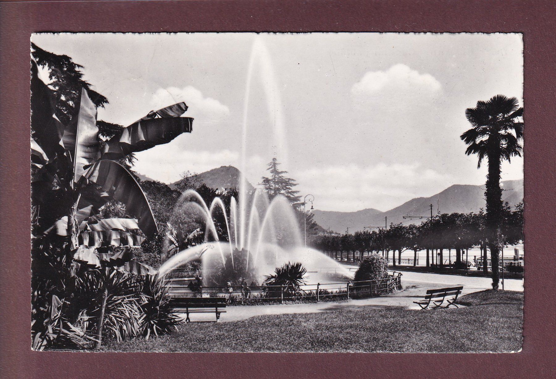 Ansichtskarten: LUGANO - Giardini pubblici - 1956 – Gebraucht aus Pully von nicecards