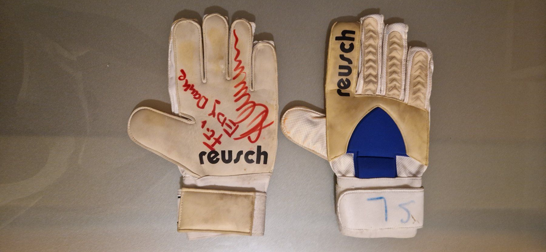 Stephan Lehmann Matchworn Goalie Handschuhe mit Autogramm (Gebraucht) in  Zrich fr CHF 90  mit Lieferung auf Ricardo kaufen