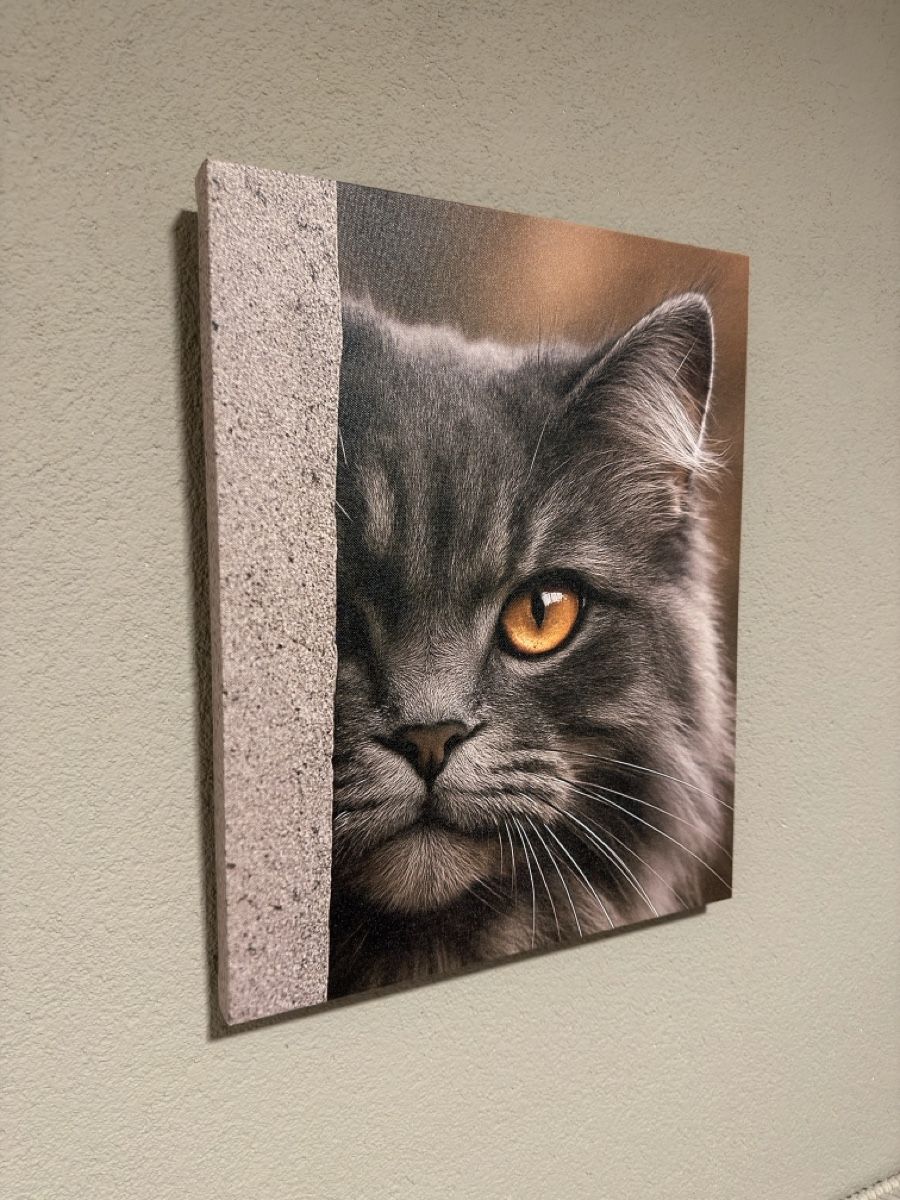 Dipinti: Katzenportrait | Leinwand  – Nuovo (secondo la descrizione) da Amriswil venduto da diegofend 1