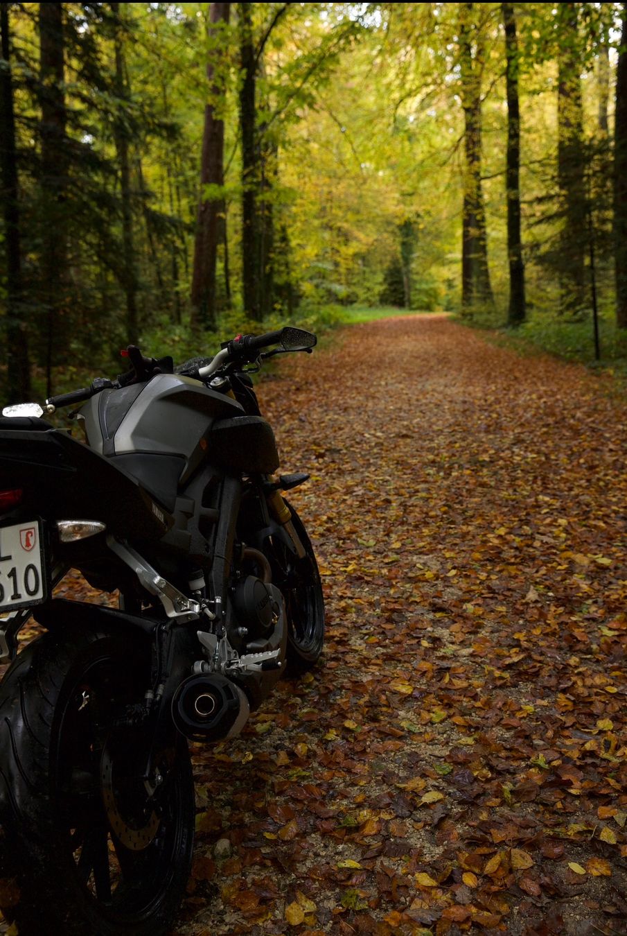 Yamaha Route: Yamaha MT-125, 2016 mit ABS – D'occasion à Rodersdorf par eil_5d7n 4