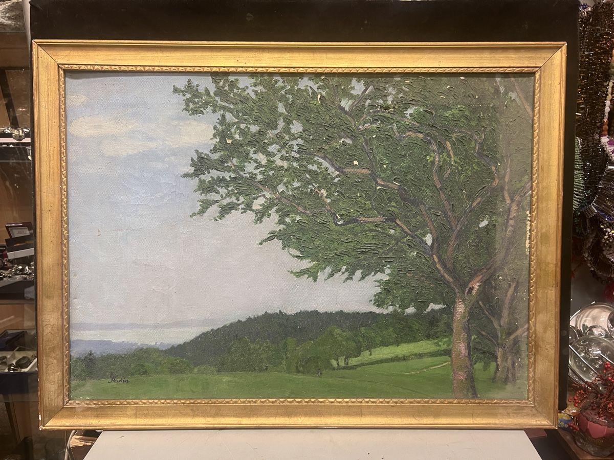 Dipinti: HUILE SUR TOILE ANCIENNE SIGNÉE ILLISIBLE ???? – Usato da Genève venduto da Qanil77
