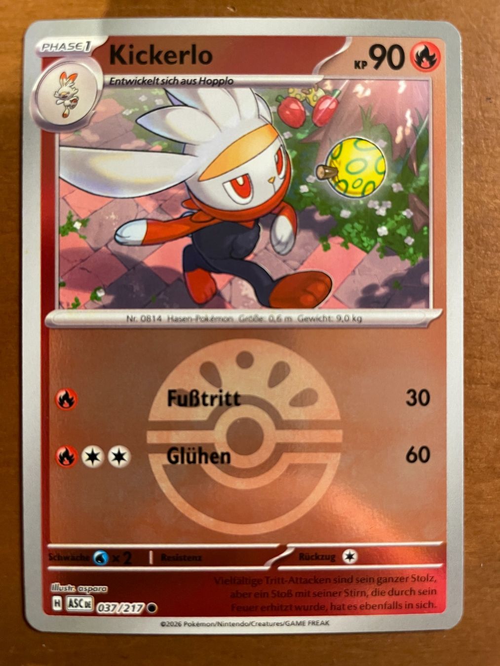 Pokémon Carte collezionabili: Pokemon Kickerlo Reverse (Versand gratis) – Nuovo (secondo la descrizione) da Chur venduto da Angerson