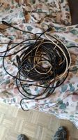 Cable informatique
