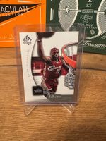 Lebron James SP
