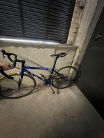 Giant Rennrad Damen