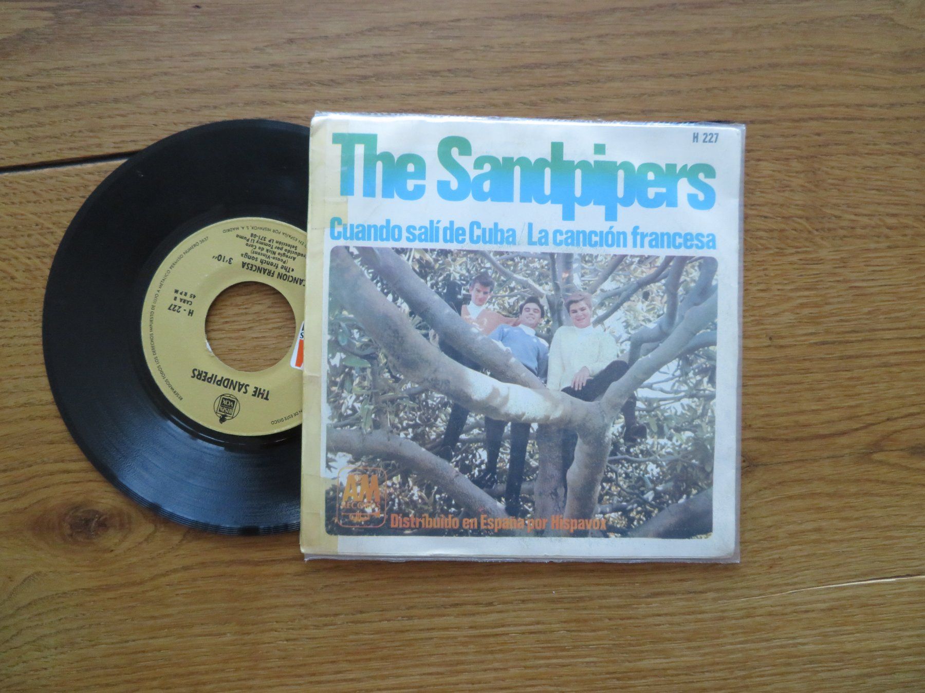 Dischi in vinile: The Sandpipers - Single Schallplatte Top! – Nuovo (secondo la descrizione) da Zürich venduto da max_cp5f