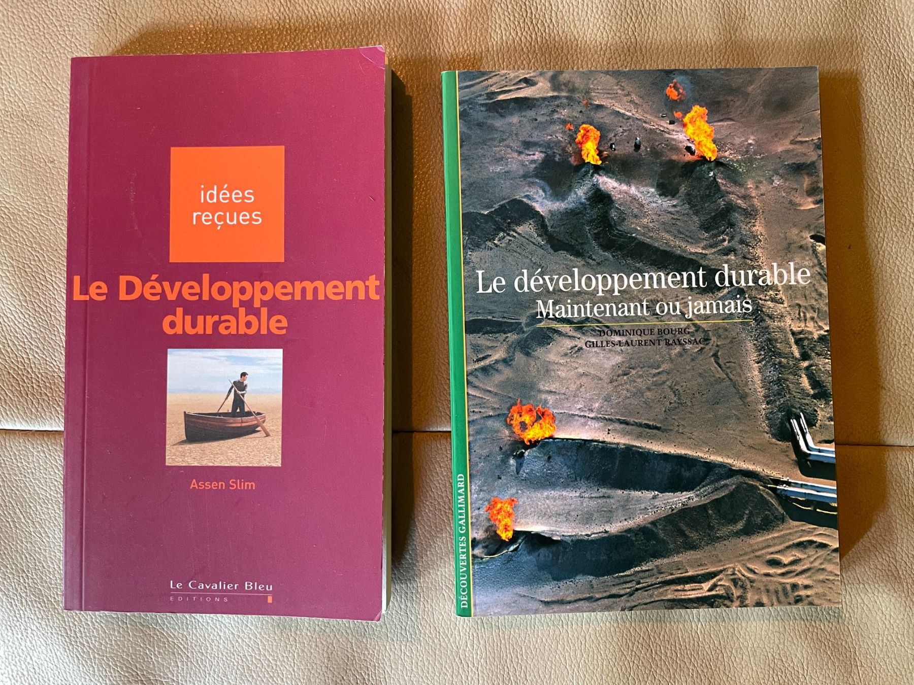 Libri: 2 livres sur les développement durable – Usato da La Tour / VS venduto da patoye