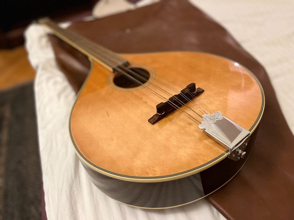 Mandoline Fender FBZ66 Bouzouki Kaufen auf Ricardo